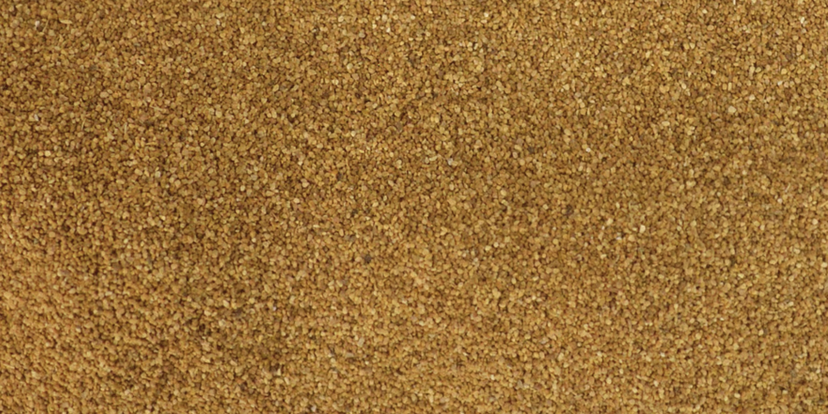 Close-up of crushed apricot seeds