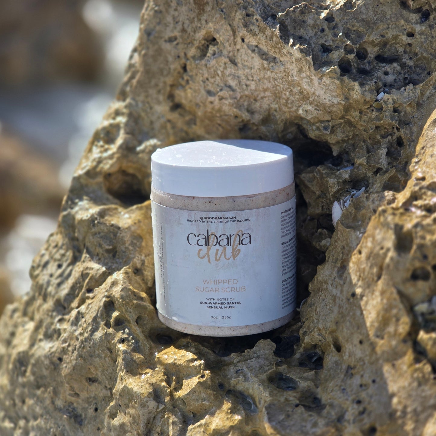 Container of whipped sugar scrub named Cabana Club nestled in a rock.
