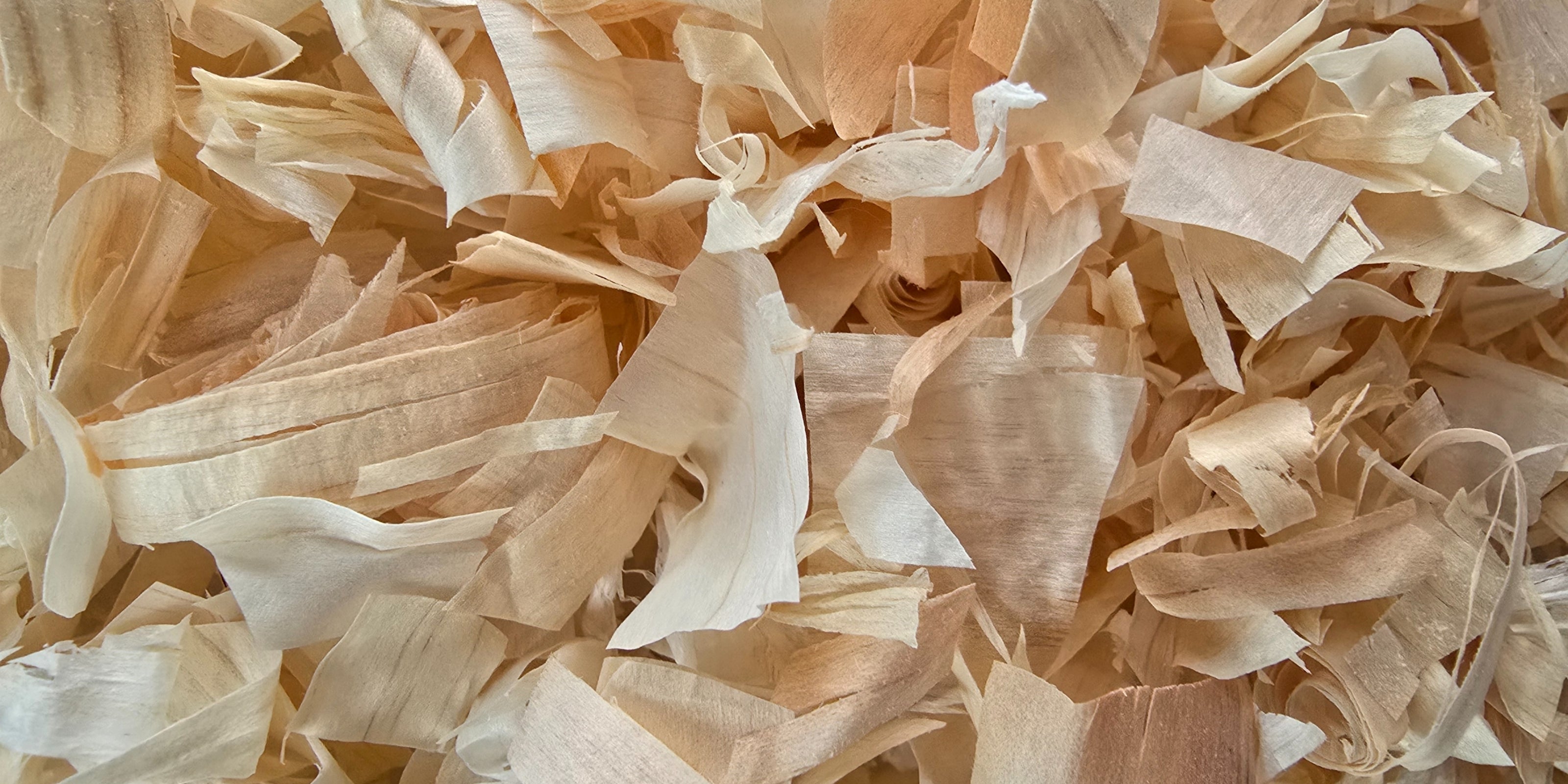 Close-up of shaved Japanese cypress bath flakes