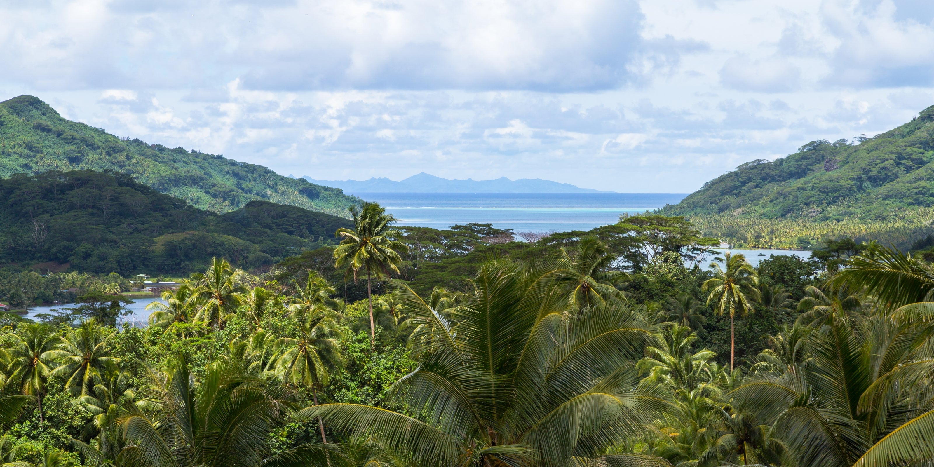 Tropical landscape with lush greenery and a body of water in the distance.
