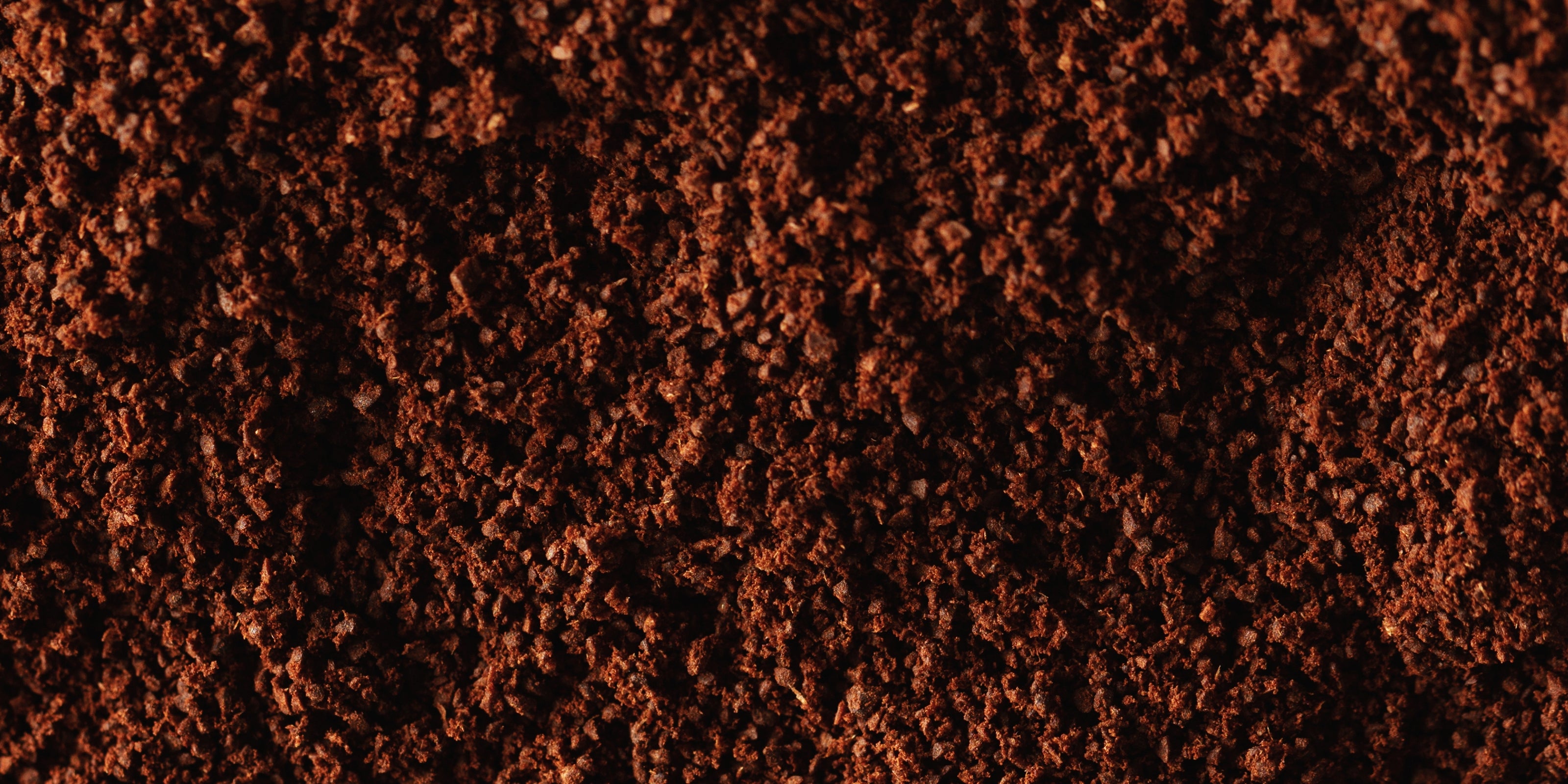 Close-up of brown crushed cupuacu seeds