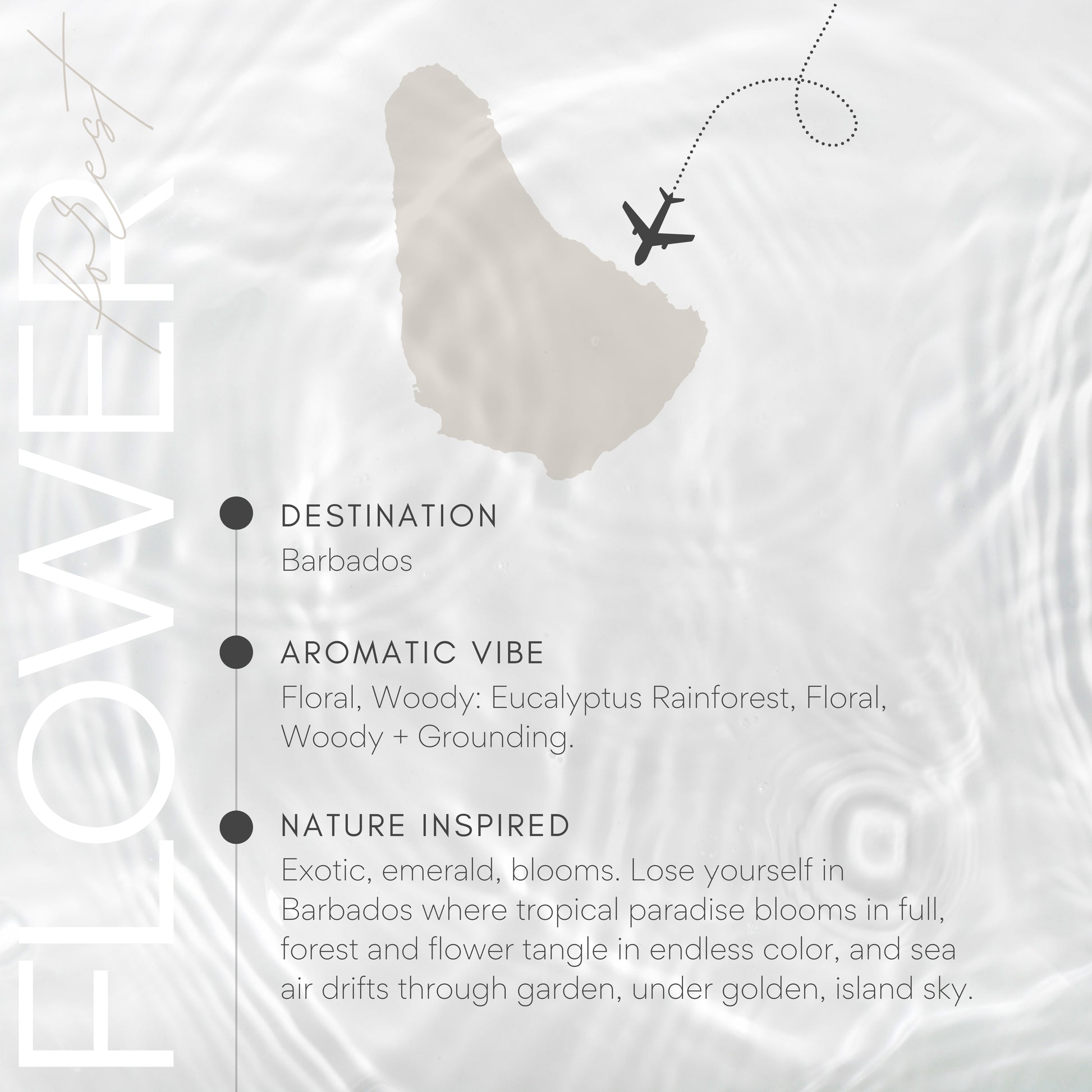 Map of Barbados with an airplane icon and descriptive text about the destination.
