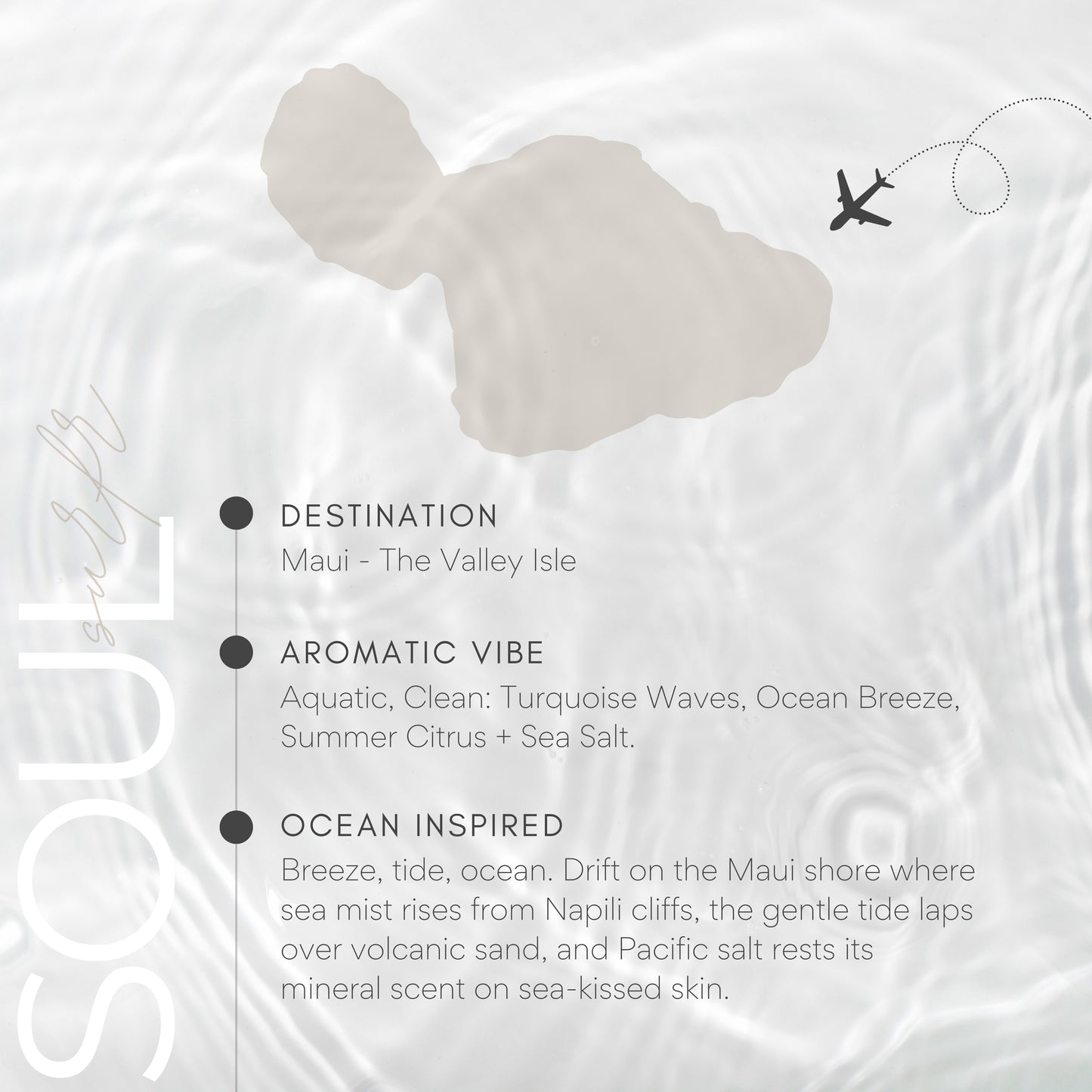 Map of Maui with an airplane icon and descriptive text about the Hawaiian island.