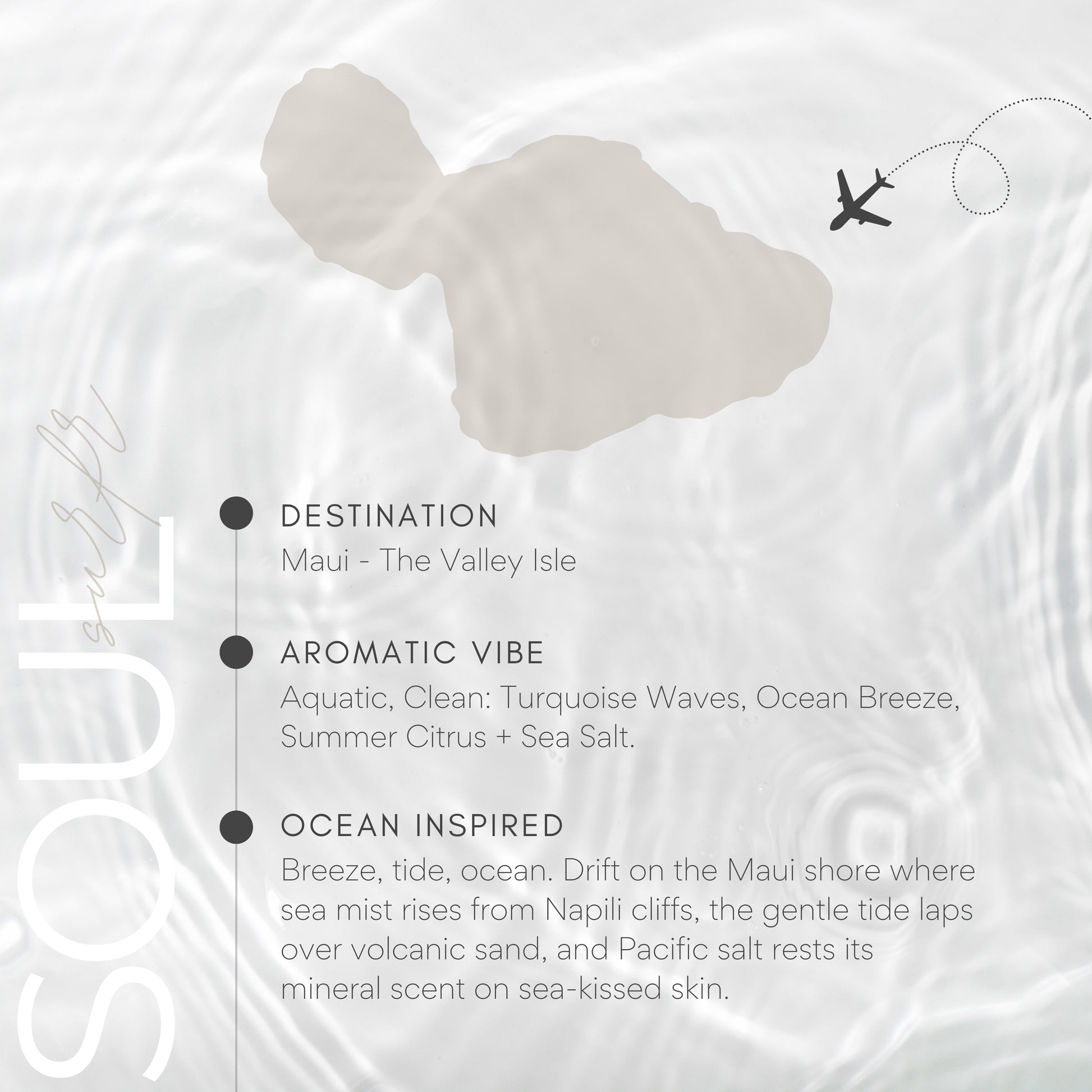 Map of Maui with an airplane icon and descriptive text about the Hawaiian island.