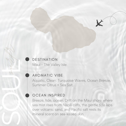 Map of Maui with an airplane icon and descriptive text about the Hawaiian island.
