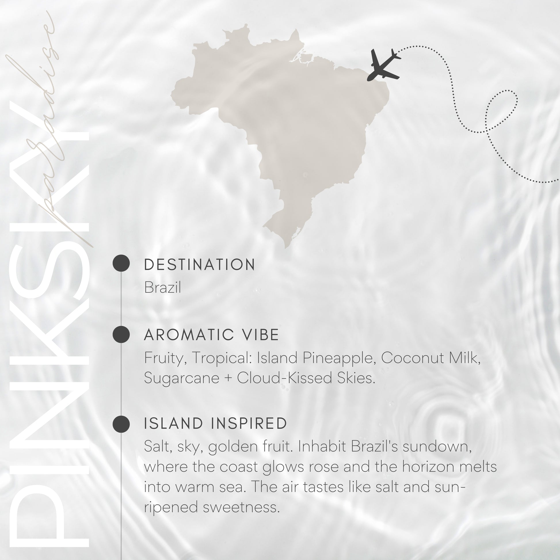 Map of Brazil with an airplane icon and descriptive text about the country.
