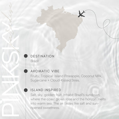 Map of Brazil with an airplane icon and descriptive text about the country.